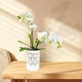 thumbnail image 3 of Orchid Pots with Holes,4 Inch Ceramic Orchid Pot for Repotting, Flower Planter Pot Indoor Outdoor, Breathable Slotted Orchids Planter White, 3 of 6