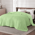 thumbnail image 1 of Cobija de Cama Tamaño Queen, Cobija Súper Suave y Gruesa para Sofá Cama RV, Cobija Ligera y Acogedora para Todas las Estaciones, Decoración y Regalo, Cobija Color Salvia para Mujer y Hombres 90x90in,, 1 of 7