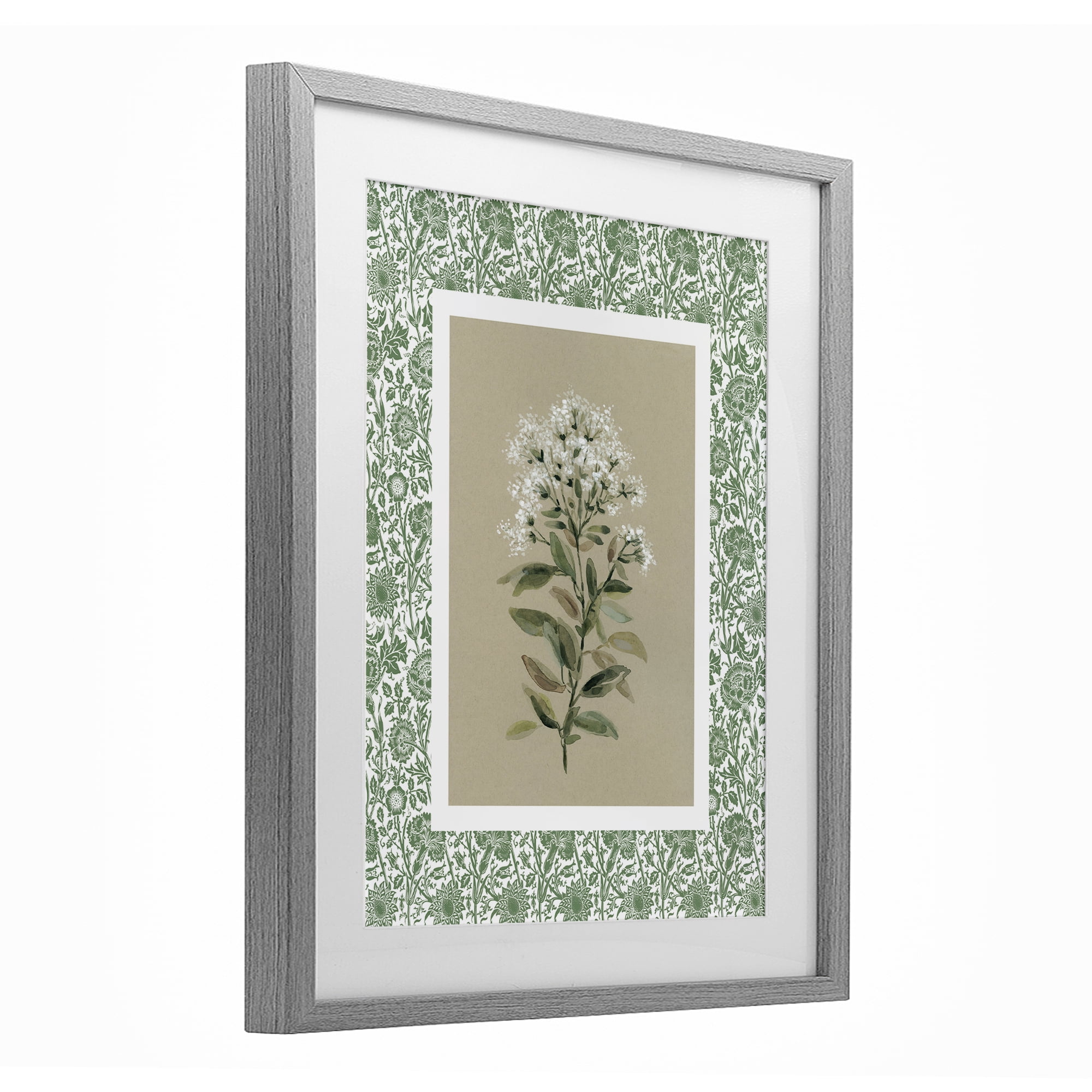 Stupell Industries Plant on Green Botanicals Gray Framed Print Under Glass, design by Carol Robinson