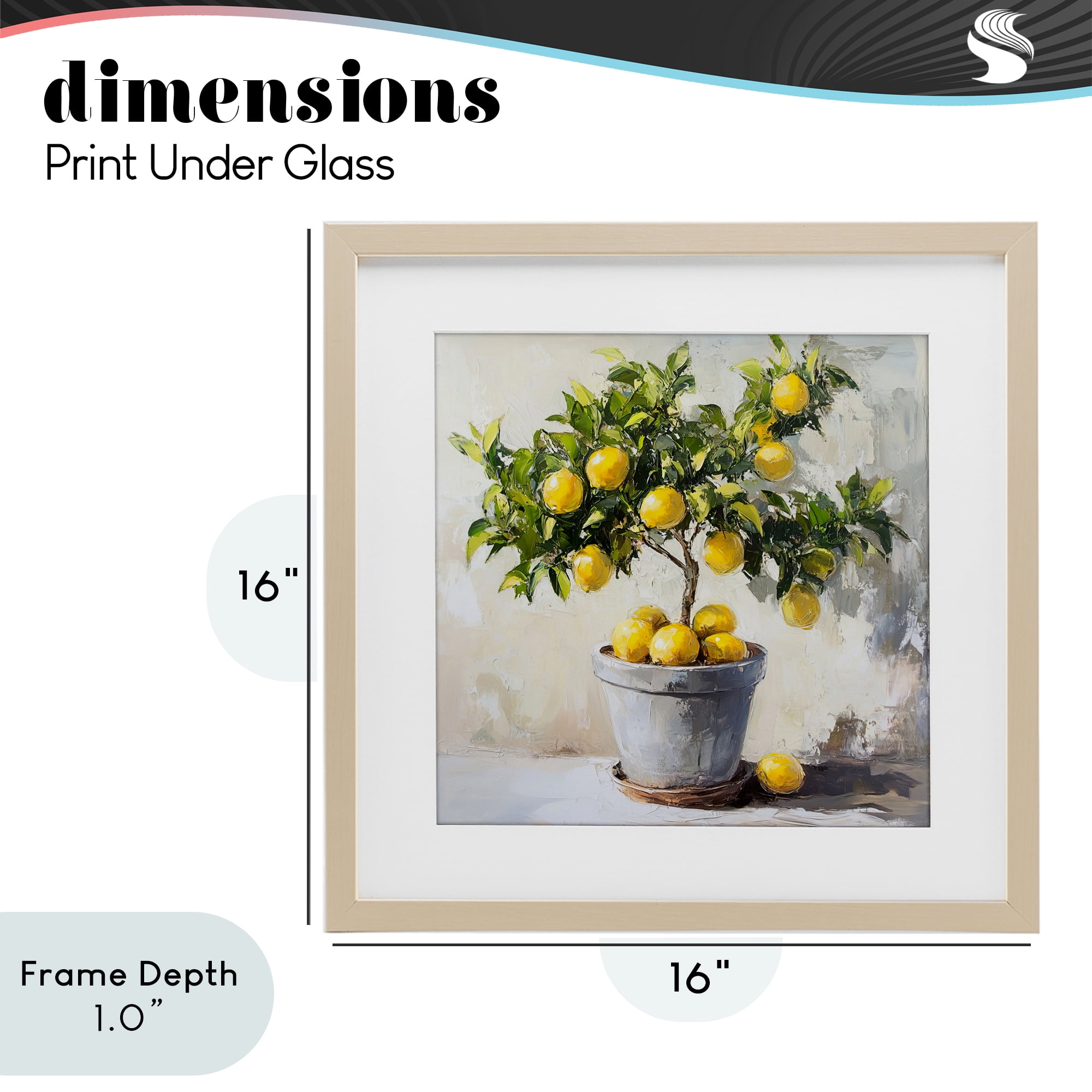 Stupell Industries Falling Lemon Tree Birch Framed Print Under Glass, design by Tina LeCour