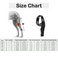 thumbnail image 5 of Dog Recovery Sleeve Front Rear Leg Support Brace For Injury Sprain Relieve Pain, 5 of 5