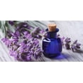 thumbnail image 1 of GSDWIUEW Seeds Herb English Lavender Perennial, 1 of 8