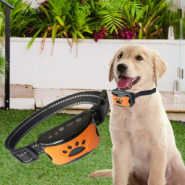 Dog rock humane anti bark training collar hotsell