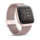 thumbnail image 1 of Bandas de metal compatibles con Fitbit Versa/Fitbit Versa 2 Band para mujeres y hombres, pulseras de malla de acero inoxidable ajustables, 1 of 4