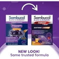 thumbnail image 2 of Sambucol Black Elderberry Throat Lozenges with Vitamin C, Zinc and Honey, 20 Count, 2 of 9