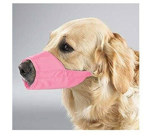 pink dog muzzle