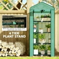 thumbnail image 5 of QRKD 4 Tier Mini Greenhouse with Screen Roof, 27.6" x 19.7" x 62.2", Portable Small Greenhouse with High Strength PE Cover, Roll-Up Zipper Door for Garden Yard Backyard, Green, 5 of 18