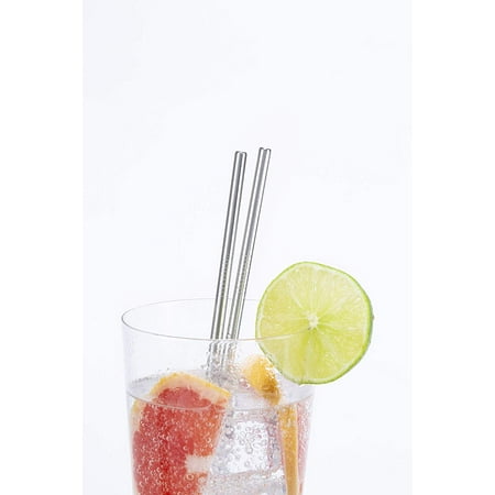 Stainless Steel Straws - Set of 10