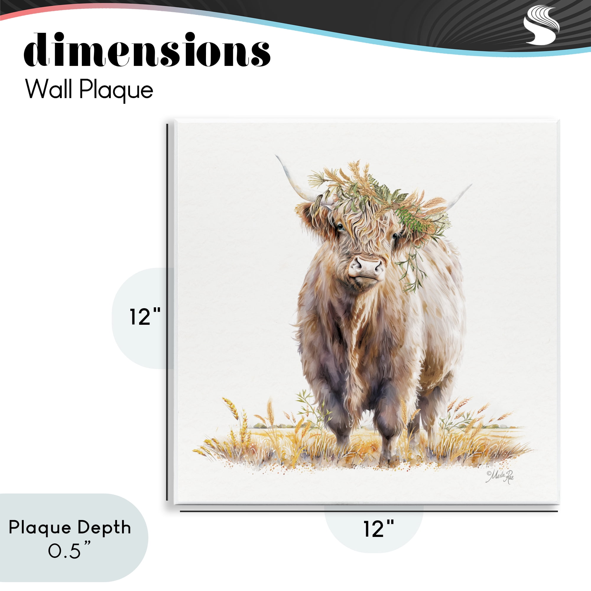 Stupell Industries Ollie the Highland Cattle Wall Plaque Art, design by Marla Rae