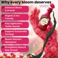 thumbnail image 3 of Biogrowth Organics Vivid Plant Food & Bloom Supplement (8.45oz), Enzyme-Based Flower & Fruit Booster with Organic Nutrients, Plant Vitamin for Fruits, Indoor & Outdoor Plants, 3 of 10