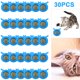 thumbnail image 5 of 30 Uds Bolas Hierba Gatera Plástico Juguete para Gatos Reemplazable Forma Cabeza Perro Suministros () Azul, 5 of 5