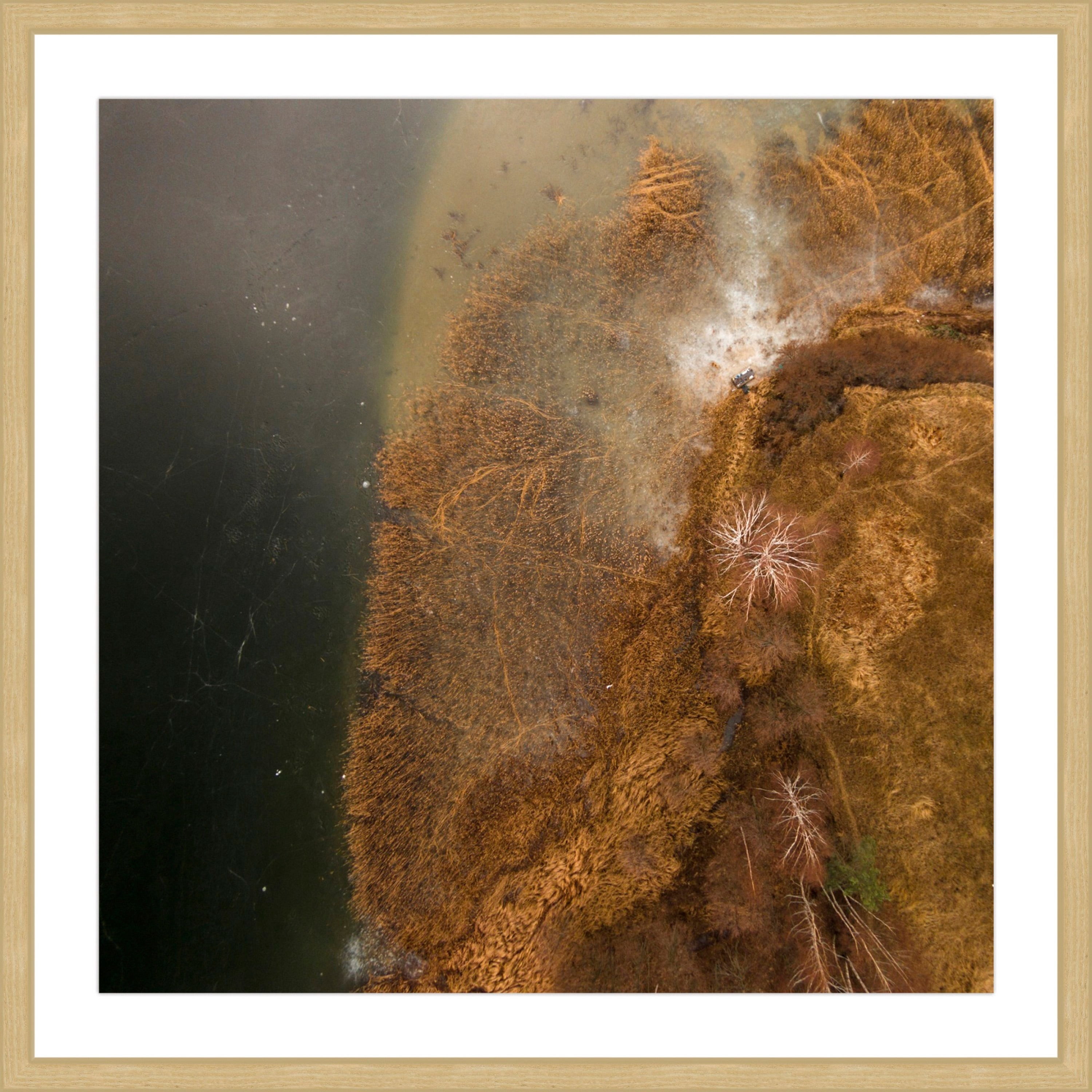 Marmont Hill "Undersea Earth" By Karolis Janulis Framed Painting Art Print, 32.0" x 1.5"