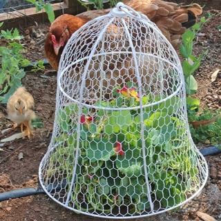 Chicken Wire Cloche with Extension