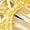 Yellow Gold, variant on Diamond Cut Halo Flower Stud Earring in 14K Gold