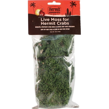 Fluker's Live Moss for Hermit Crabs, 0.7 Oz (Best Substrate For Hermit Crabs)