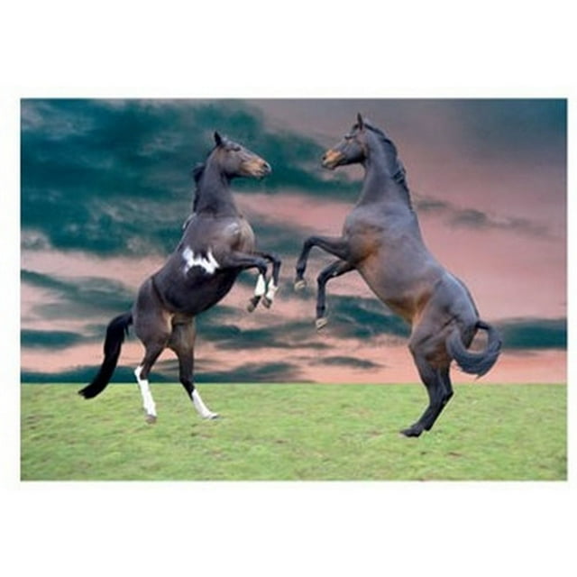 Kevin Milner Horses Rearing Countryside Greetings Card
