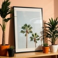 thumbnail image 3 of Barcelona Palms 03 - Barcelona Catalonia Spain Photography Black Framed Wall Art Print 16 x 24 inches, 3 of 8