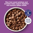 thumbnail image 4 of Nature's Recipe Grain Free Lamb, Sweet Potato & Pumpkin Adult Dry Dog Food, 4 lb, 4 of 11