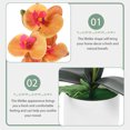 thumbnail image 3 of White Faux Orchid in Pot - Fake Potted Flowers, 3 of 7