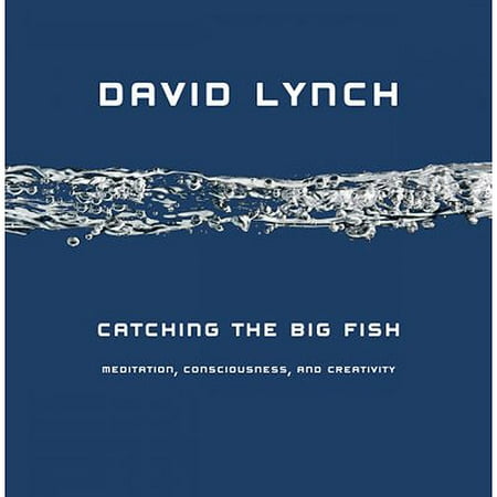 Catching the Big Fish: Meditation, Consciousness, and Creativity