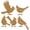 B, variant on 5Pc Rusty Metal Bird Silhouette Garden Decor Ornaments, Rust Steel Bird Yard Fence Topper Statues, Cutout Bird Silhouette Lawn Art Decor, Vintage Rusty Iron Bird Silhouette Stake Sculpture