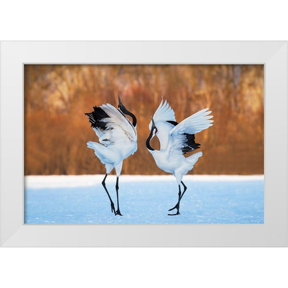 Mei, C. 24x17 White Modern Wood Framed Museum Art Print Titled - The dance of love