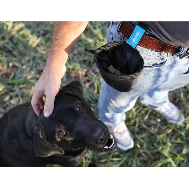 kelty chuckwagon dog pack Chuckit! Classic Ball Launcher & Fetch Medley Bundle – Petmate Up to 25 lbs/ 11 kg Volume Kelev Dog Pack