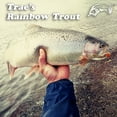 thumbnail image 5 of (2 pack) Panther Martin PMWB_6_U Teardrop Nature Series Spinners Fishing Lure - Wild Brook - 6 (1/4 oz), 5 of 7