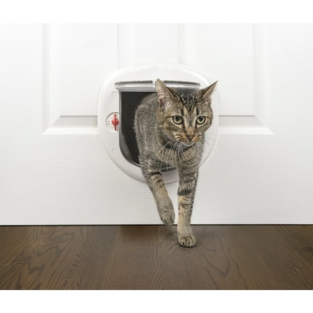 Premier Pet Locking Pet Door for Cats or Small Dogs up to 25 (Best Cat Door For Exterior Wall)