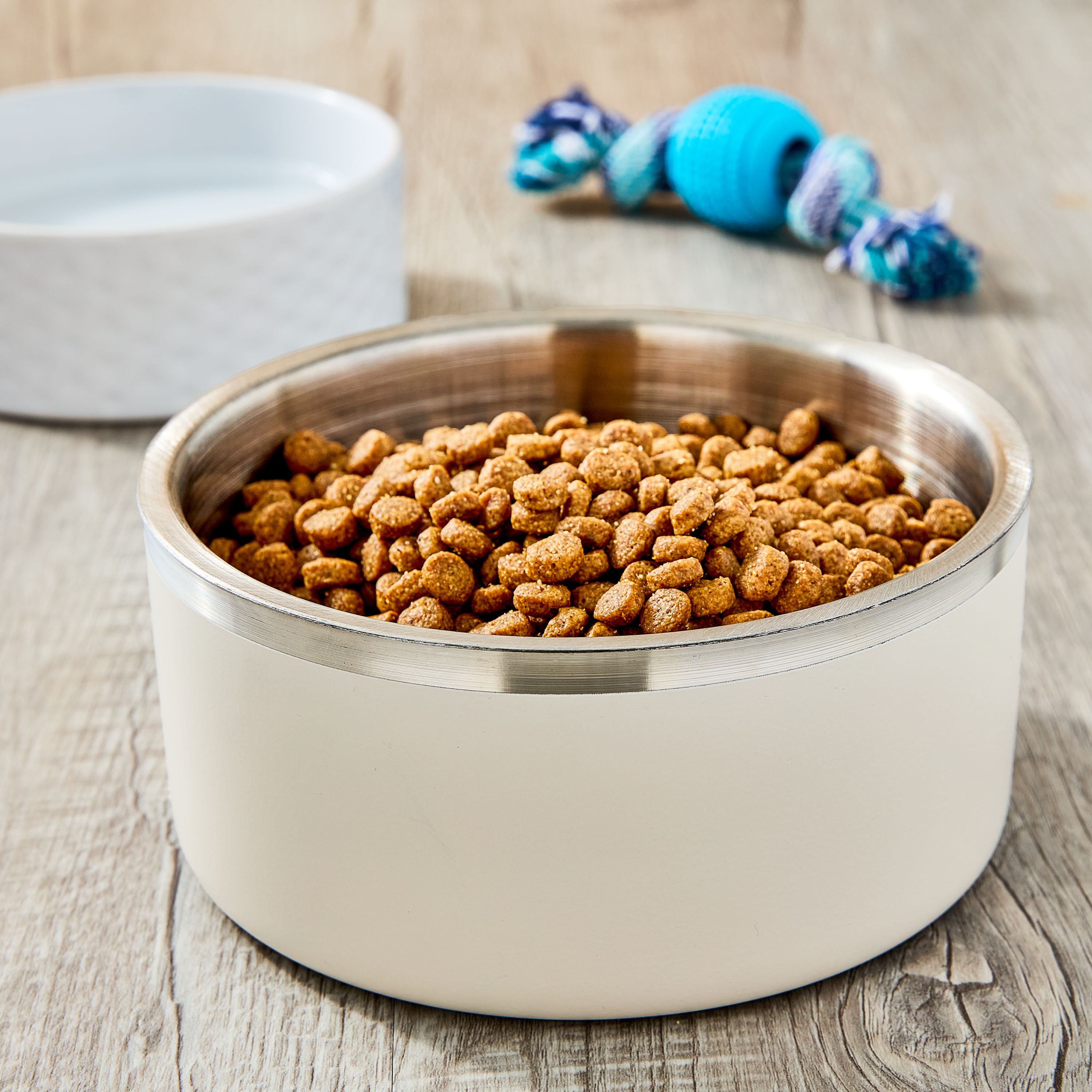 Vibrant Life Medium Stainless Steel Double Wall Dog Bowl, Off-White