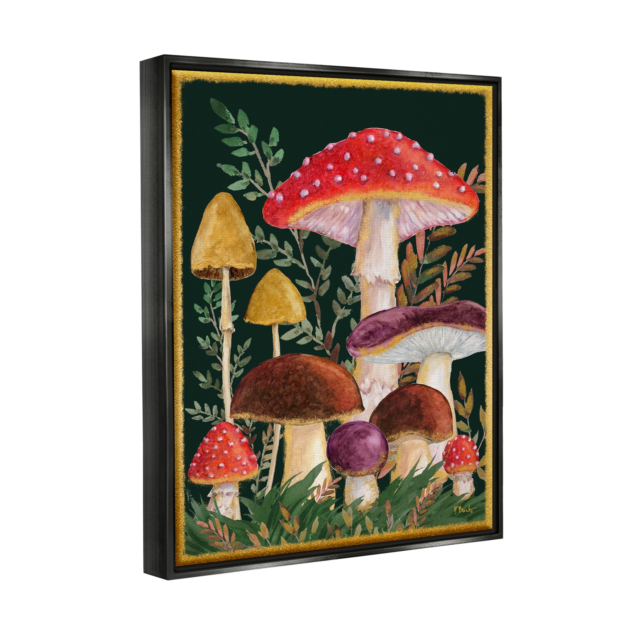 Stupell Industries Woodland Mushrooms Nature Botanical & Floral Painting Black Floater Framed Art Print Wall Art, 25 x 31