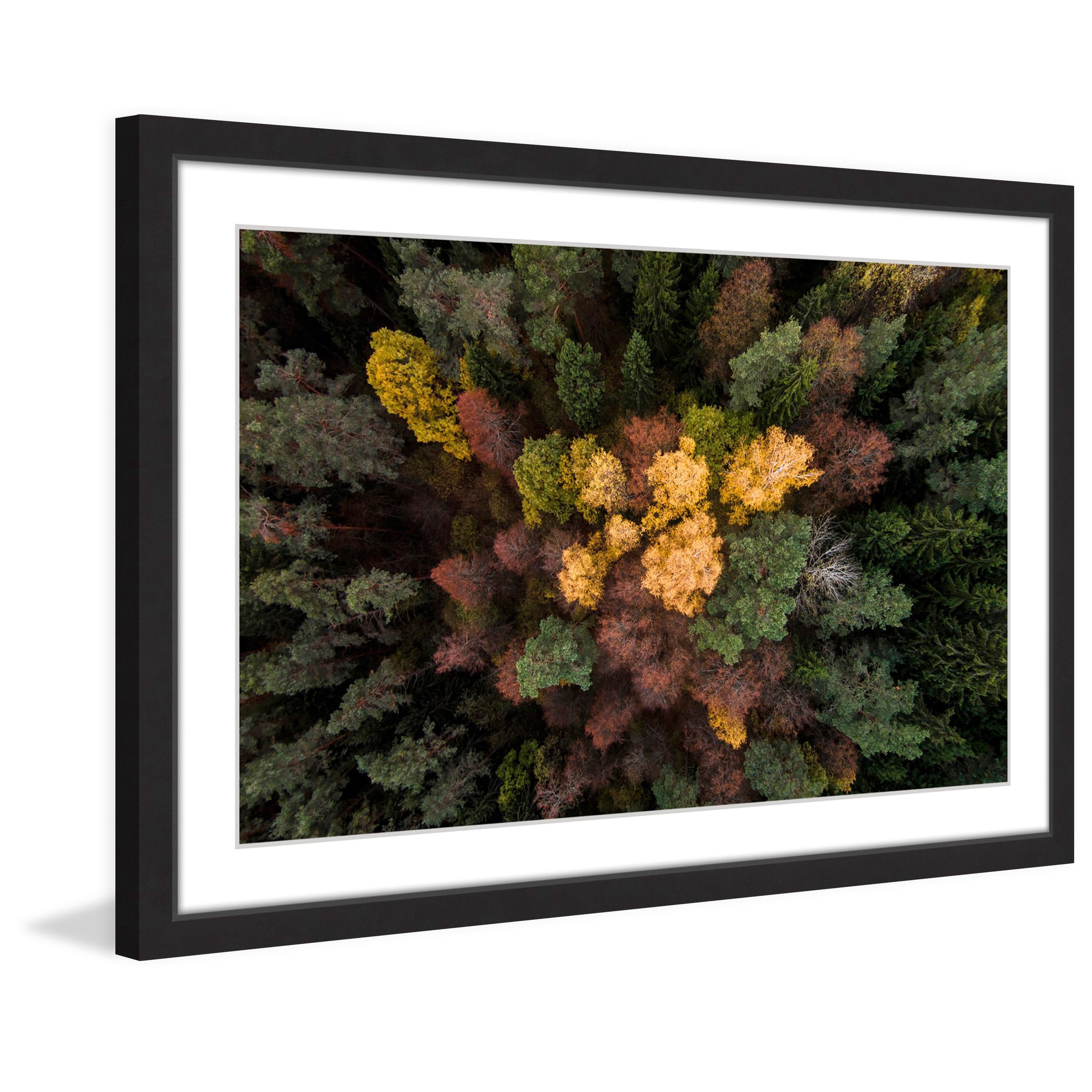 Marmont Hill "Luscious Flora" By Karolis Janulis Framed Painting Art Print, 24.0" x 1.5"