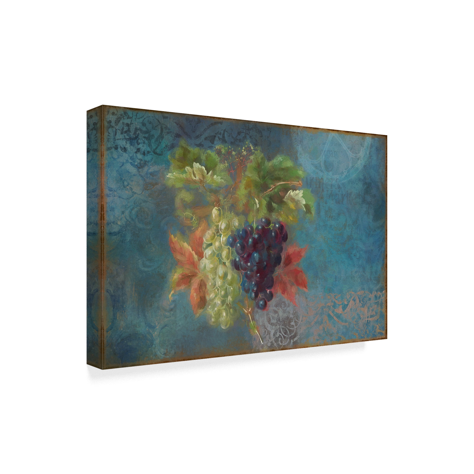 Trademark Fine Art 'Grapes Fruit Series' Canvas Art by Cora Niele