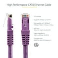 thumbnail image 4 of StarTech 10ft CAT6 Ethernet Cable - Purple CAT 6 Gigabit Ethernet Wire -250Mhz 100W PoE RJ45 UTP Molded Network Patch Cord with Strain Relief (C6PATCH10PL), 4 of 4