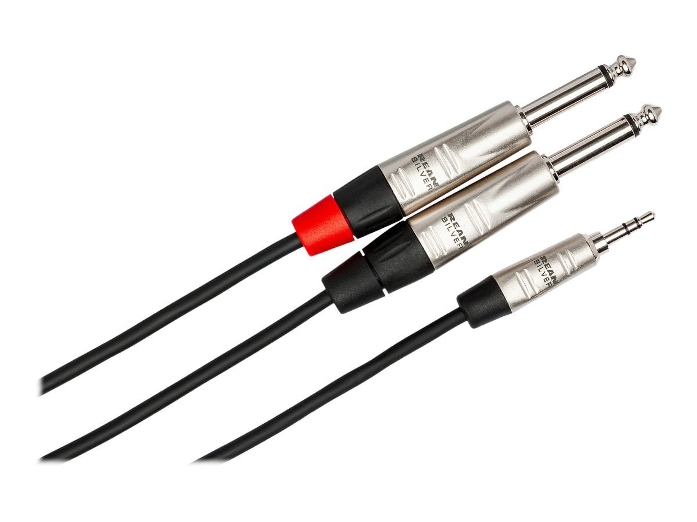 Hosa Technology Pro 10' Stereo Breakout, REAN 3.5mm TRS to Dual 1/4" TS