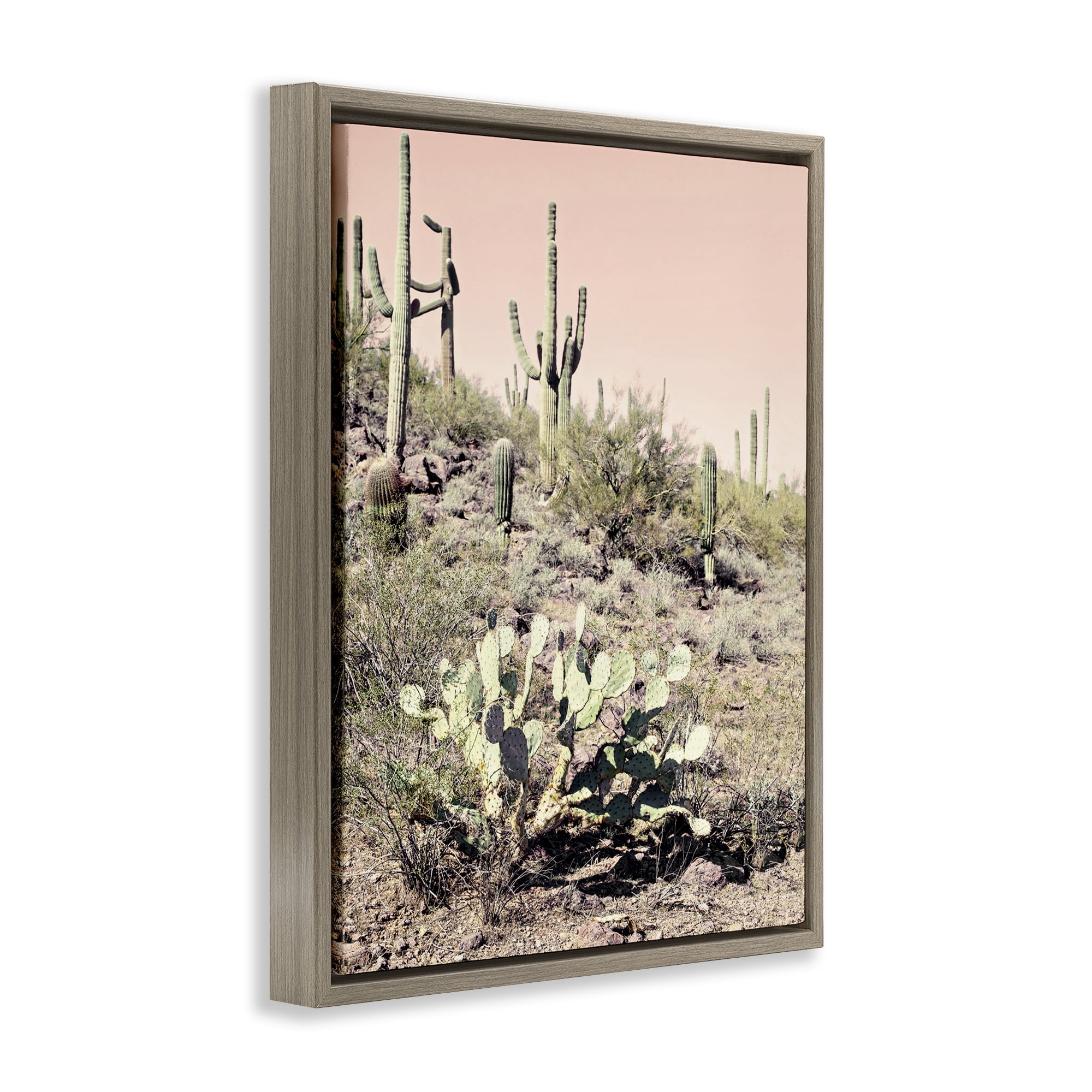 Stupell Industries Rustic Desert Scene Landscape & Nature Photography Brown Floater Framed Canvas Art Print Wall Art, 17 x 21