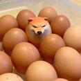thumbnail image 3 of 10x Egg Dog Shiba Inu Realistic Egg Shape Desk Decor Dog & Egg Union Decoration for Home Offices Fun Christmas Gifts, 3 of 5