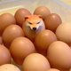 thumbnail image 4 of 5x Egg Dog Shiba Inu Realistic Egg Shape Desk Decor Dog & Egg Union Decoration for Home Offices Fun Christmas Gifts, 4 of 5