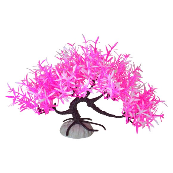 Cat Plant Walmart Canada