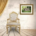 thumbnail image 3 of Sederquist, Betty 14x11 Gold Ornate Wood Framed with Double Matting Museum Art Print Titled - Africa-Tanzania cute cheetah cubs snuggle close to their mother in the Ndutu area of the Serengeti, 3 of 4