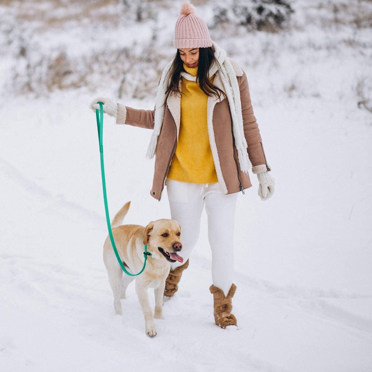 Dogline  - Biothane Slip Dog Leash - for Small, Medium and Large Dogs - Odor Free Slip Lead, Heavy Duty and Durable Material Kennel Lead (Teal: Width 5/8" | L: 60"(5ft))