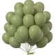 thumbnail image 2 of PartyWoo Globos Verdes, 50 piezas Globos de Color Espárragos de 12 Pulgadas, Globos de Lát PartyWoo PartyWoo, 2 of 2