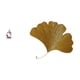 thumbnail image 5 of Estatua de resina de un pensador sentado. Figura decorativa de resina. Esculturas de pared de hierro forjado. Hojas de ginkgo. Material artístico adec, 5 of 8
