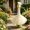 White, variant on Orangide Goose Skirt Set 23 Inch Puffy Porch Goose Skirt Garden Decorative Cover for Outdoor Lawn Yard Statue Holiday Fall Decor