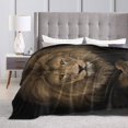 thumbnail image 3 of Lion Throw Blankets for Adults Men Girls Boys Winter Couch Bed Soft Cozy Warm Lightweight Fleece Flannel Travel Lap Blanket Lion, 3 of 6