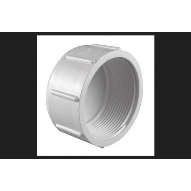 Tapa de PVC Charlotte Pipe 3/4 pulgadas Schedule 40 FPT