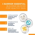 thumbnail image 3 of Crema hidratante de día RoC Barrier Renew SPF 30 con ceramidas 75 ml, 3 of 7