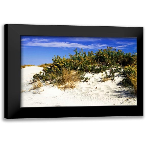 Hausenflock, Alan 14x11 Black Modern Framed Museum Art Print Titled - Assateague Beach II