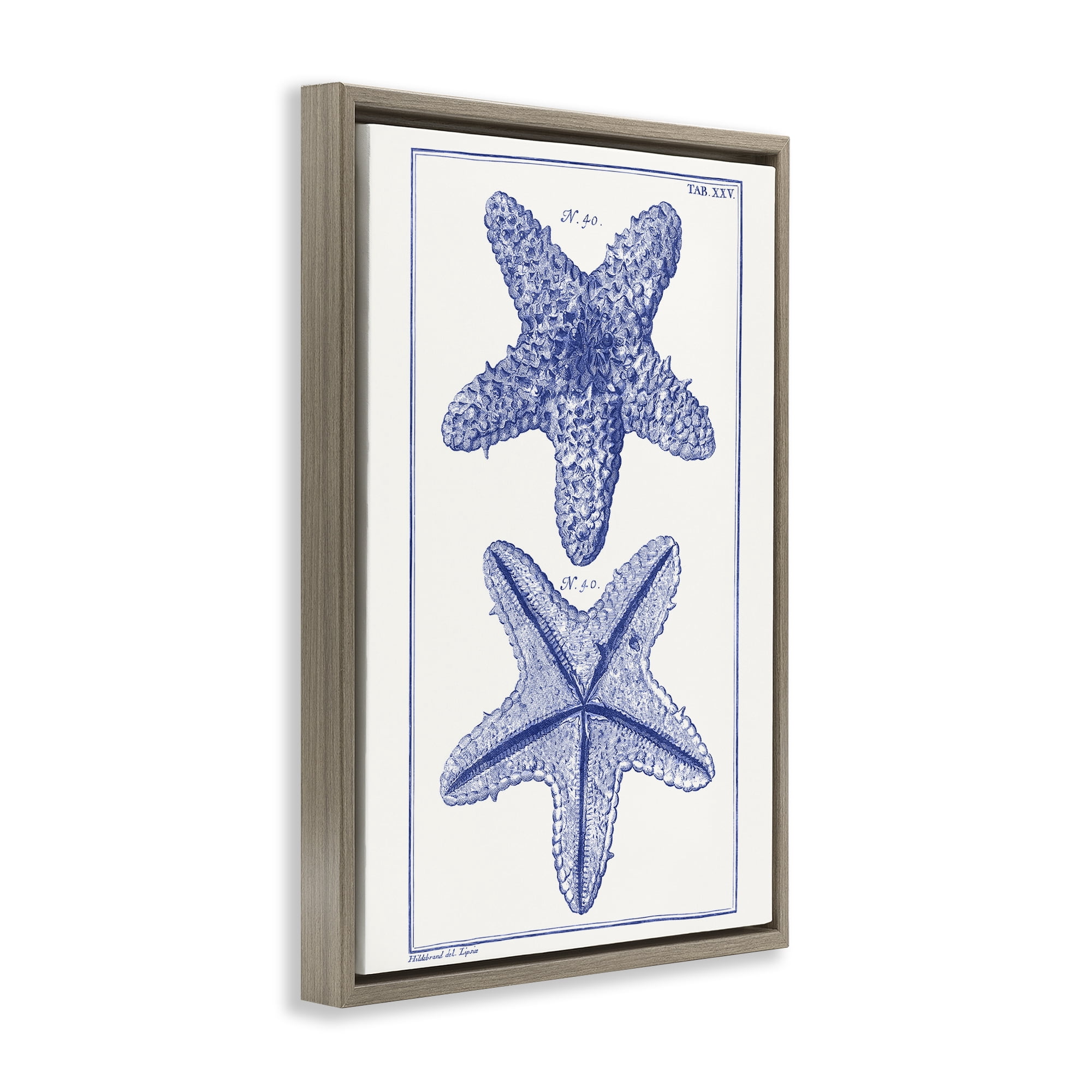 Stupell Industries Blue Starfish Studies Animals & Insects Painting Brown Floater Framed Canvas Art Print Wall Art, 21 x 31