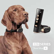 Patpet 4200ft IPX7 Waterproof Dog Training E Collar with 3 Modes for 15-140 Lbs Dogs